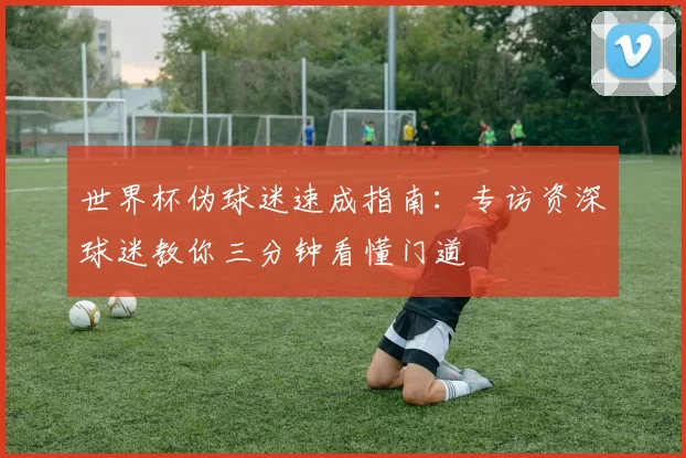 世界杯伪球迷速成指南：专访资深球迷教你三分钟看懂门道