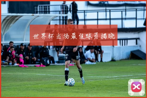 世界杯当场最佳球员揭晓