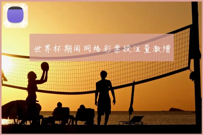 世界杯期间网络彩票投注量激增
