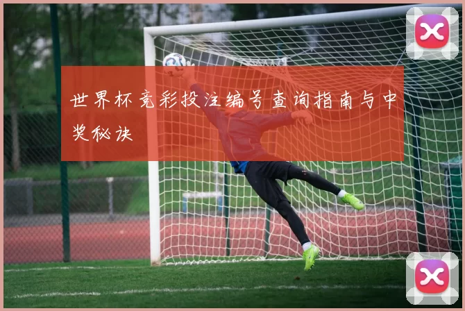 世界杯竞彩投注编号查询指南与中奖秘诀