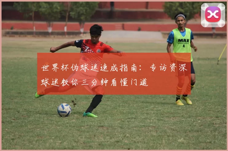 世界杯伪球迷速成指南：专访资深球迷教你三分钟看懂门道