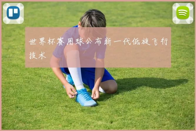 世界杯赛用球公布新一代低旋飞行技术