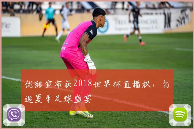 优酷宣布获2018世界杯直播权,打造夏季足球盛宴