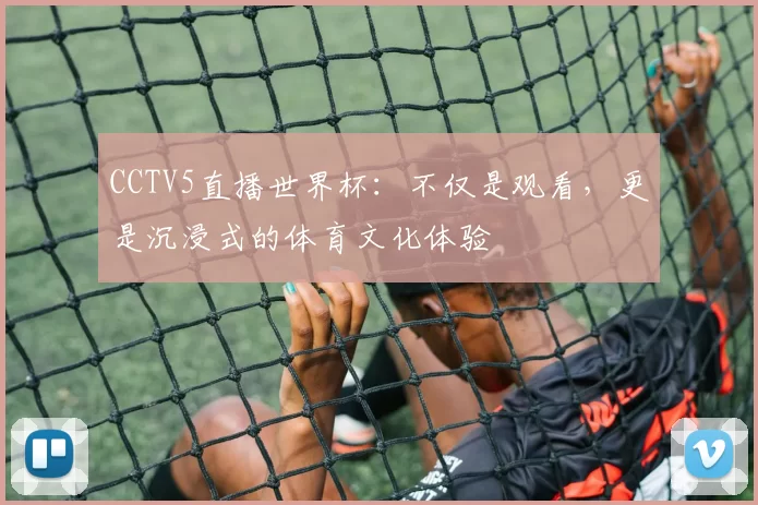 CCTV5直播世界杯：不仅是观看，更是沉浸式的体育文化体验