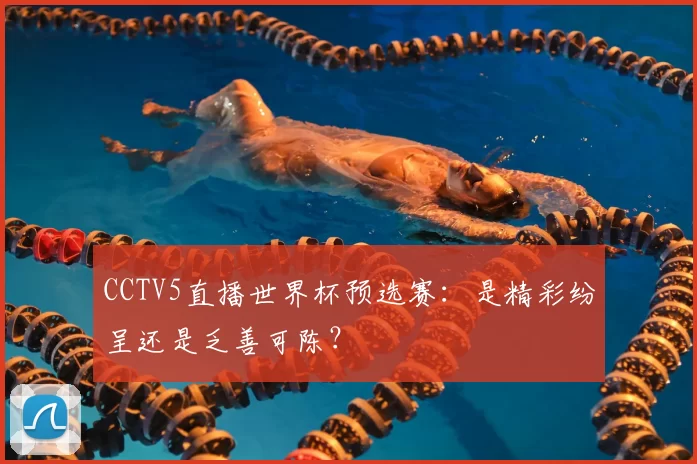 CCTV5直播世界杯预选赛：是精彩纷呈还是乏善可陈？
