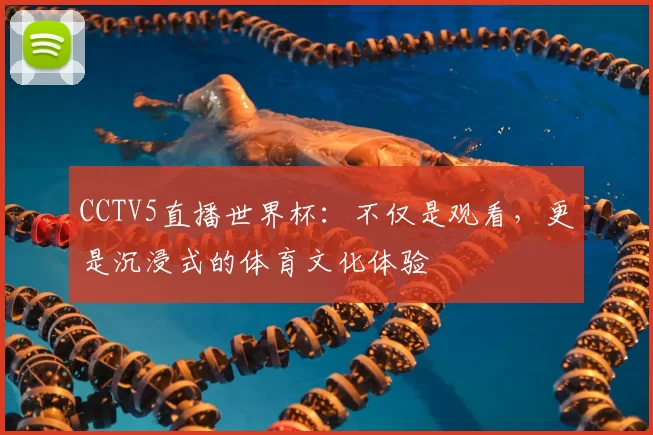CCTV5直播世界杯：不仅是观看，更是沉浸式的体育文化体验