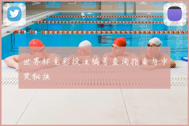 世界杯竞彩投注编号查询指南与中奖秘诀