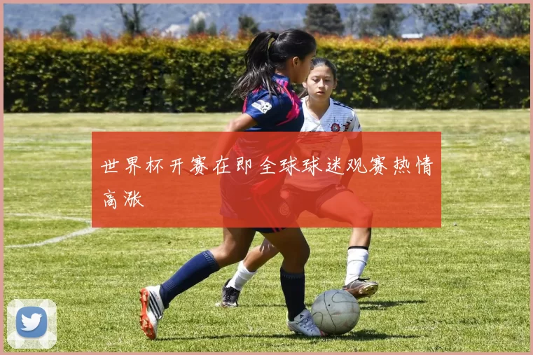 世界杯开赛在即全球球迷观赛热情高涨