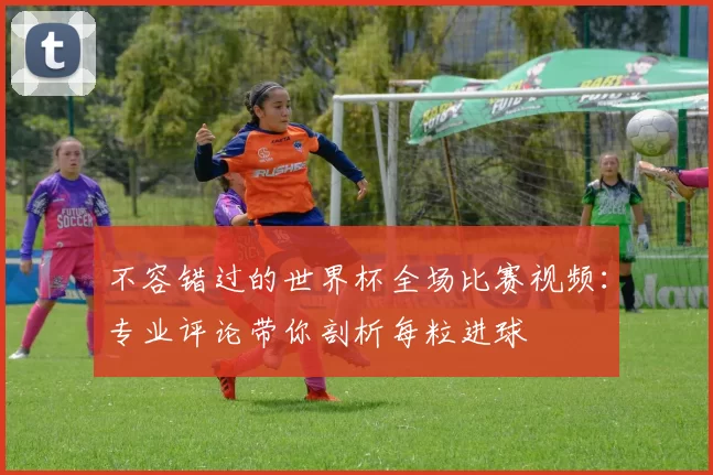 不容错过的世界杯全场比赛视频：专业评论带你剖析每粒进球