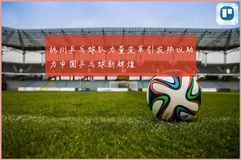 杭州乒乓球队力量变革引发热议助力中国乒乓球新辉煌