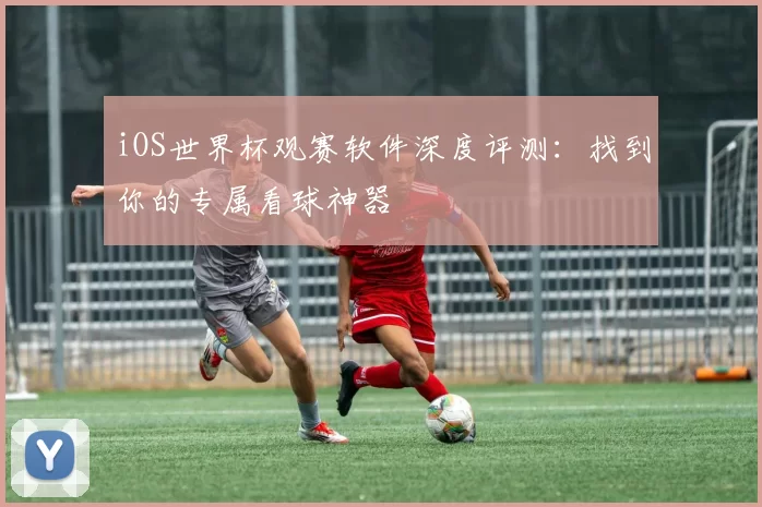 iOS世界杯观赛软件深度评测:找到你的专属看球神器
