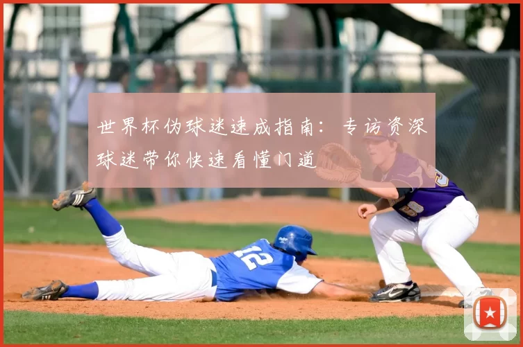 世界杯伪球迷速成指南：专访资深球迷带你快速看懂门道